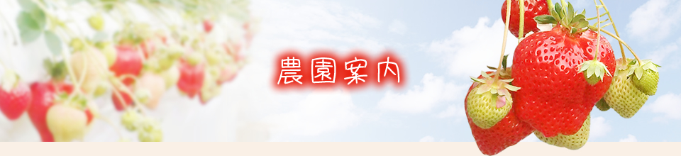 農園案内