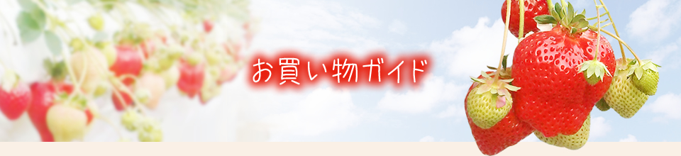 お買い物ガイド