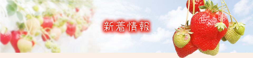 新着情報