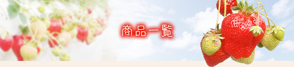 商品一覧