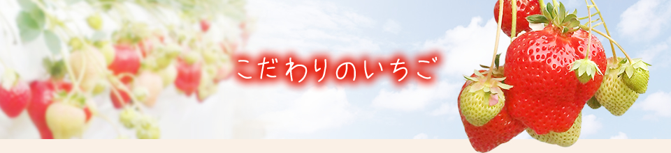 こだわりのいちご