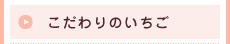 こだわりのいちご
